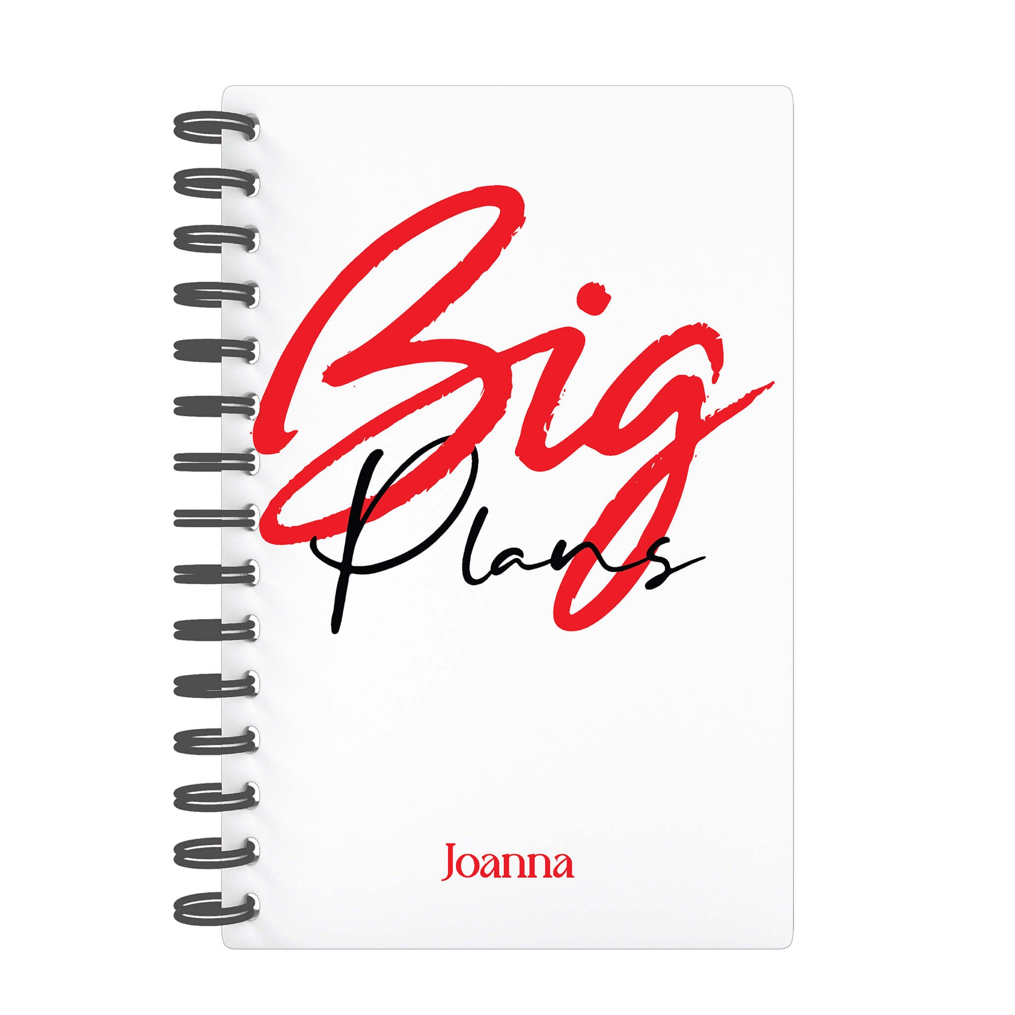 Big Plans -2024 Planner